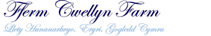 logo Llety Hunanarlwyo Fferm Cwellyn Farm
