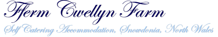Fferm Cwellyn Farm Self Catering Accommodation logo